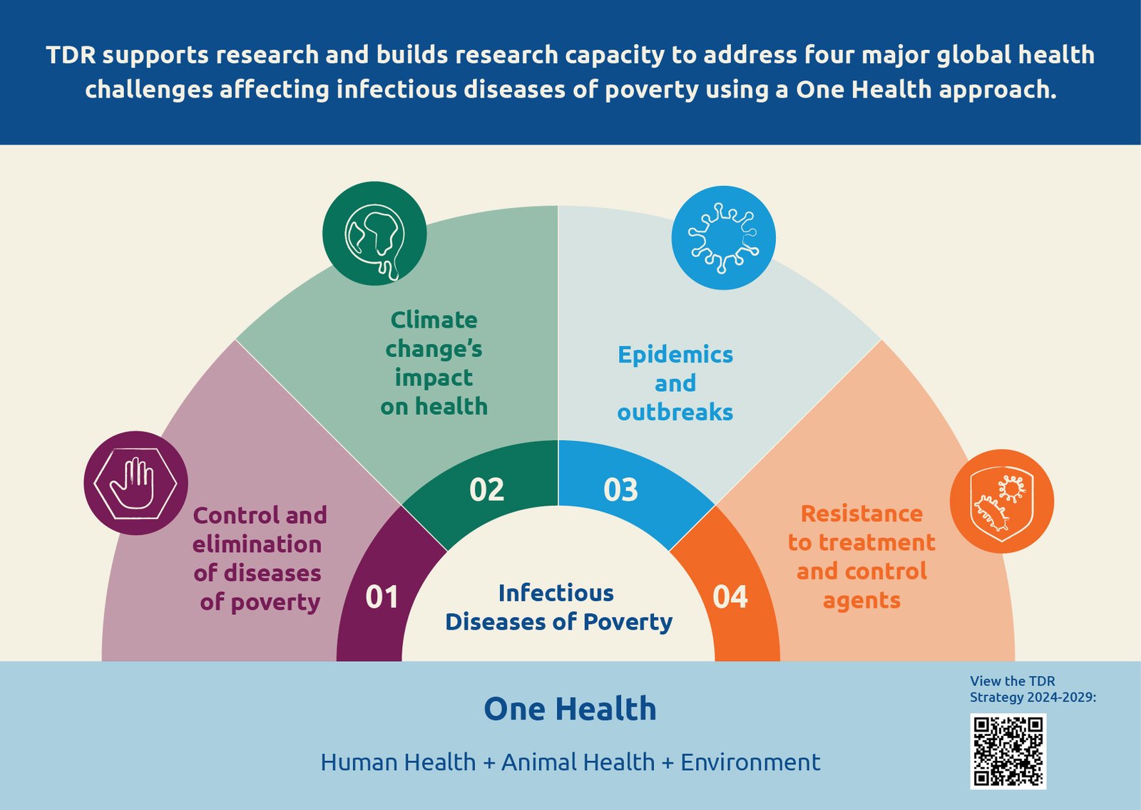 Infographic showing TDR’s support for research, using a One Health approach, focusing on four major global health challenges affecting infectious diseases of poverty: control and elimination of diseases of poverty, climate change’s impact on health, epidemics and outbreaks, and resistance to treatment and control agents