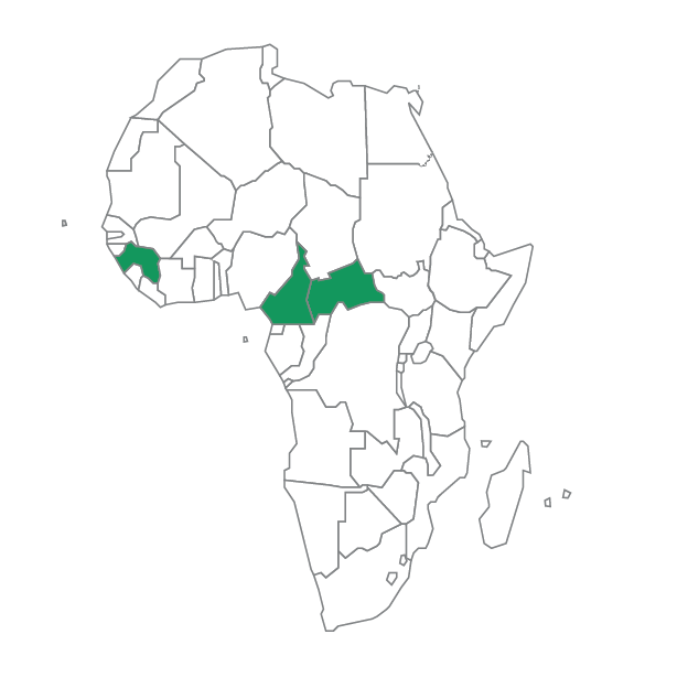 A map of Africa with Cameroon, Central African Republic and Guinea shaded in green